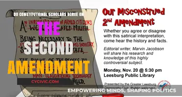 Second Amendment: Consensus Among Constitutional Scholars?