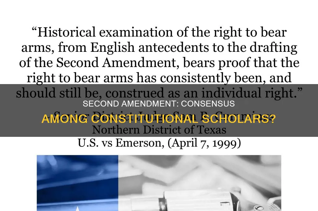 do constitutional scholars agree on the second amendment
