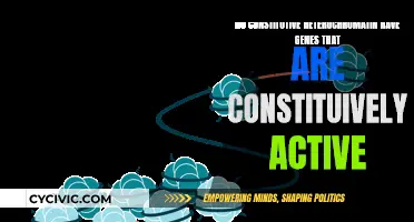 Exploring Gene Activity in Constitutive Heterochromatin