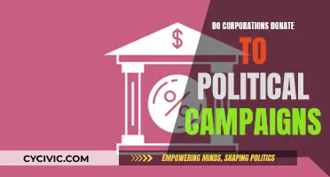 Corporate Political Donations: Influence and Impact