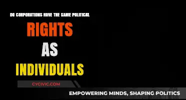Corporate Personhood: Do Businesses Enjoy the Same Political Rights as Citizens?