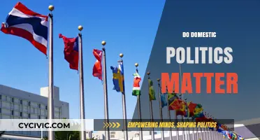 Do Domestic Politics Shape Global Policies and International Relations?