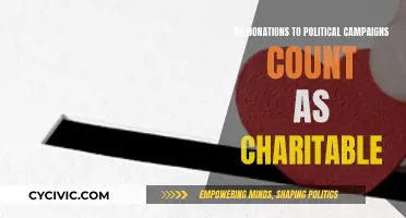 Political Donations: Charity or Campaign?