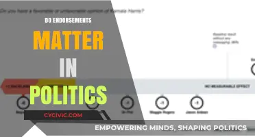 Do Endorsements Shape Political Outcomes? Analyzing Their Real Impact