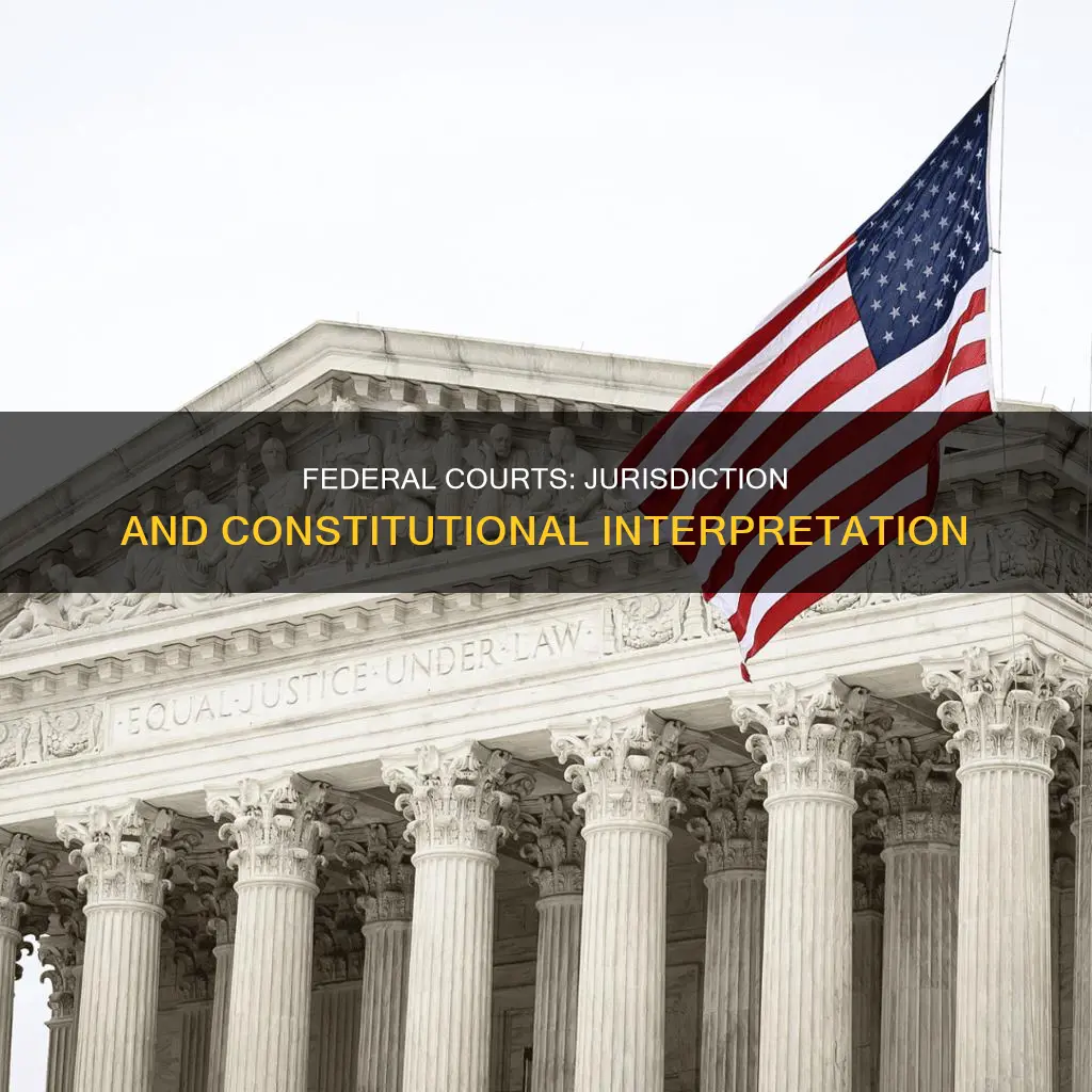 do federal court have jurisdiction over ther constitution