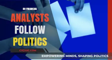 How Political Events Influence Financial Analysts' Strategies and Decisions