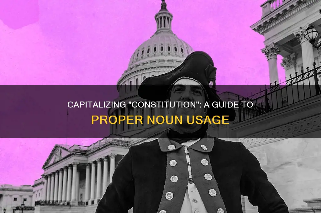do i capitlize the word constitution in e ery sentence