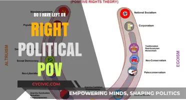 Exploring Political Ideologies: Left, Right, or Center?