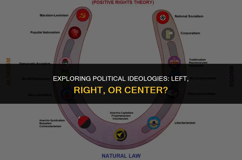 do i have left or right political pov