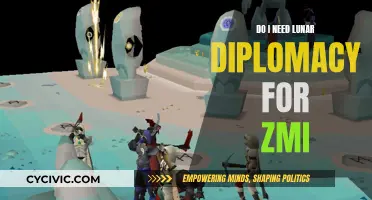 Lunar Diplomacy for ZMI: Is it Necessary?