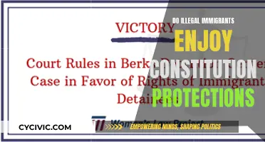Understanding Constitutional Protections for Illegal Immigrants in America