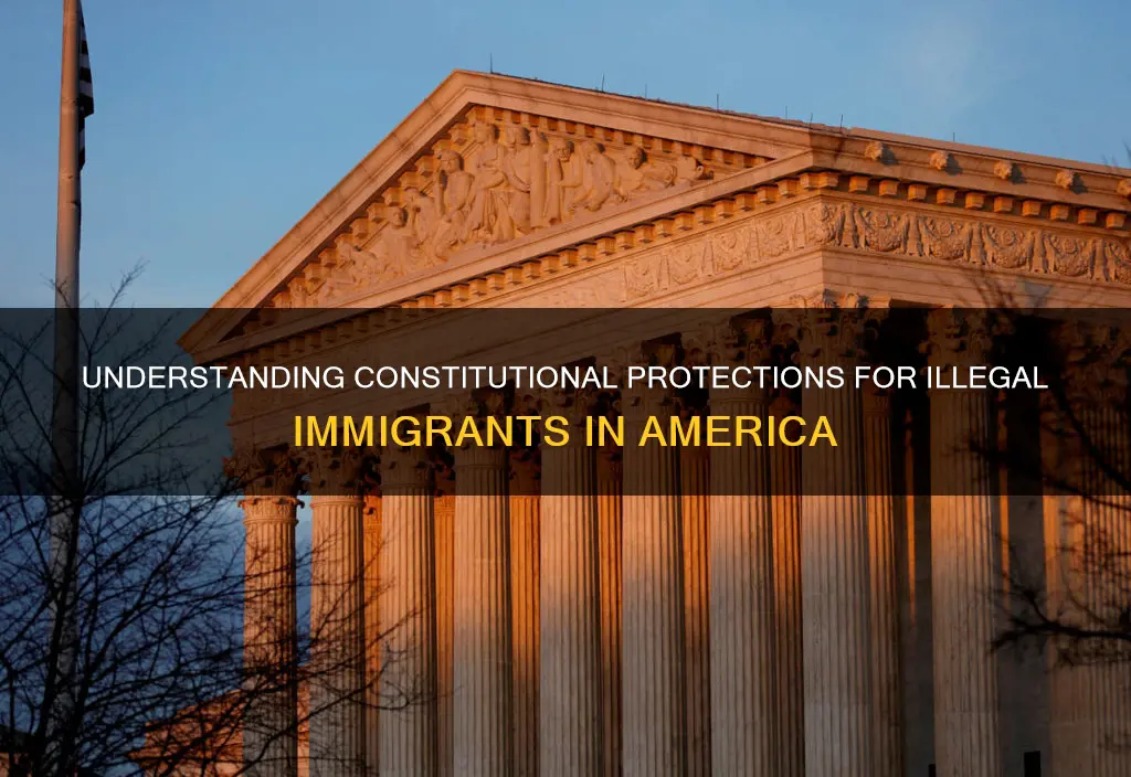 do illegal immigrants enjoy constitutional protections