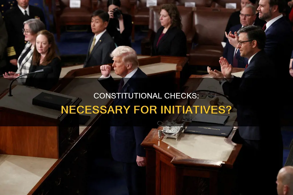 do inititives have to be checked to be constitutional