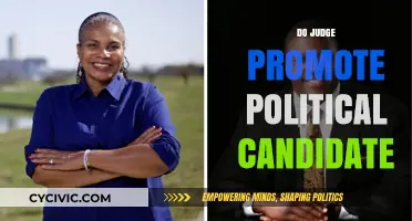 Judges and Politics: Do They Promote Political Candidates?