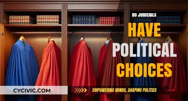 Judicial Politics: Exploring the Intersection of Law and Ideology