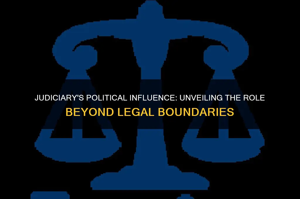 do judiciary have political roles
