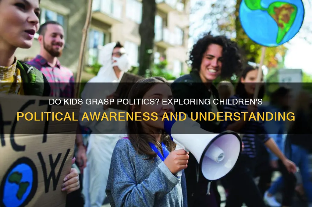 do kids understand politics