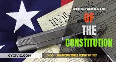 Liberals, Constitution, and Change: A Complex Relationship