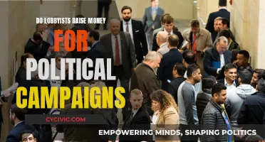 Exploring Political Campaign Funding: Lobbyists' Influence and Power