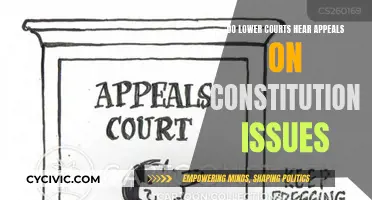 Lower Courts and Hearing Appeals on Constitutional Issues