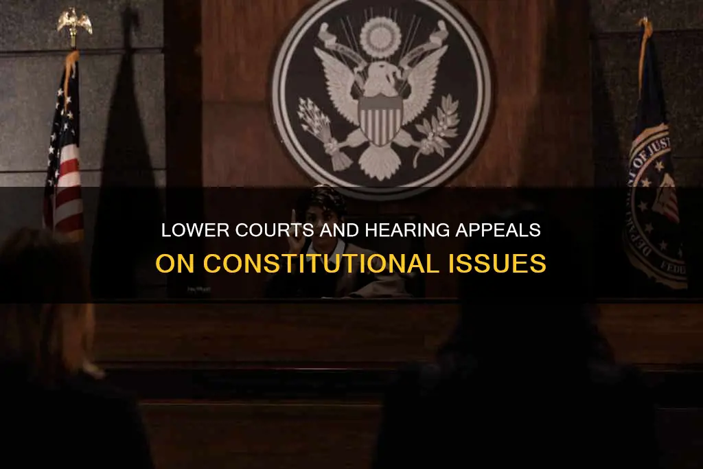 do lower courts hear appeals on constitutional issues