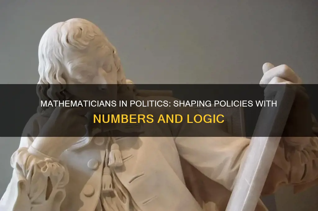 do mathematicians work in politics