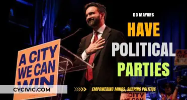 Do Mayors Have Political Parties? Exploring Local Politics and Affiliations