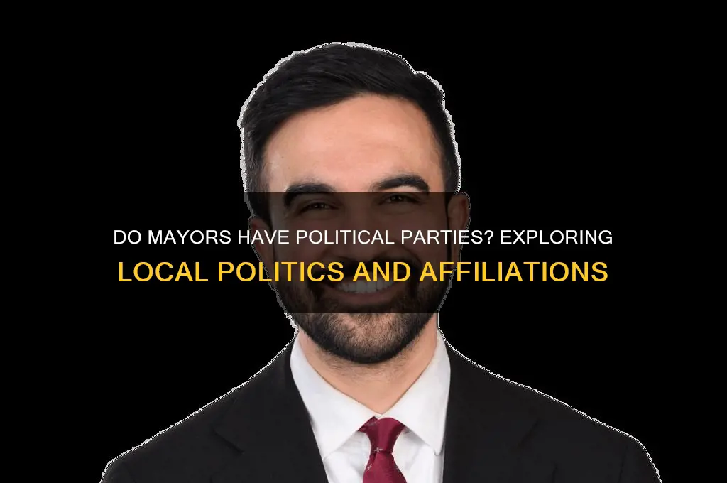 do mayors have political parties