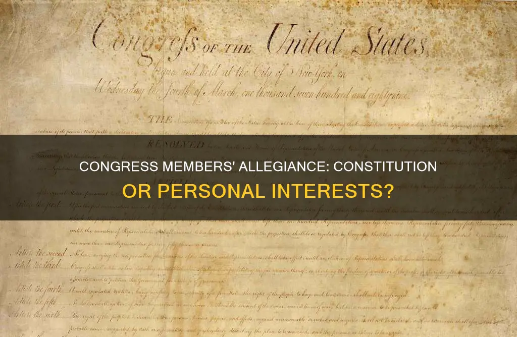 do members of congress swear allegiance to the constitution