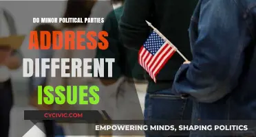 Minor Political Parties: Unique Issues or Echoing the Mainstream?