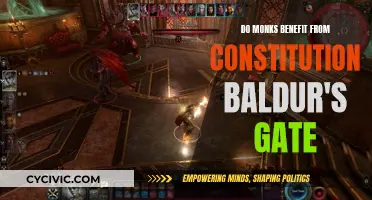 Baldur's Gate: Monks, Constitution, and Benefits Explained