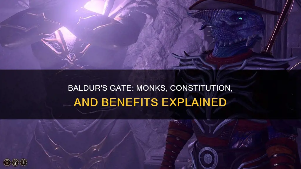 do monks benefit from constitution baldur