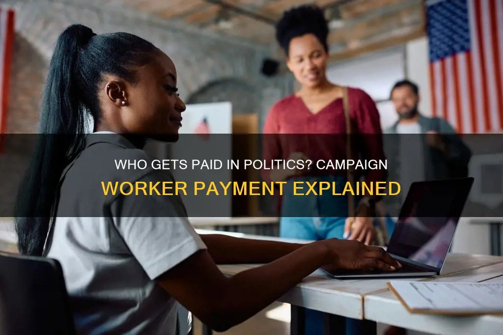 do most political campaign workers get paid or volunteer
