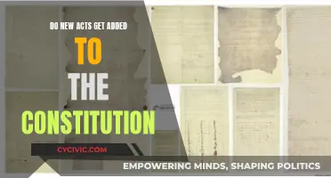 How the US Constitution Evolves and Adapts