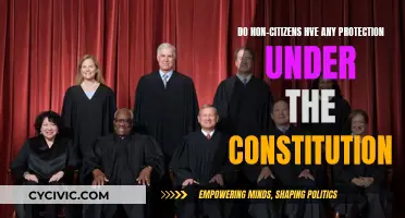 Non-Citizen Rights: Constitutional Protections and Legal Limits