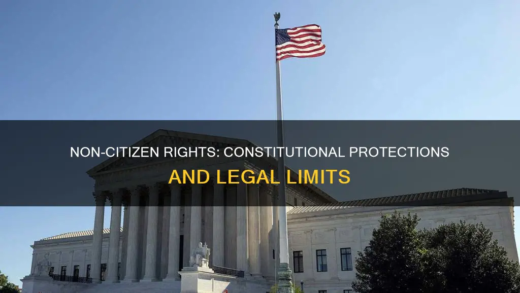 do non-citizens hve any protection under the constitution