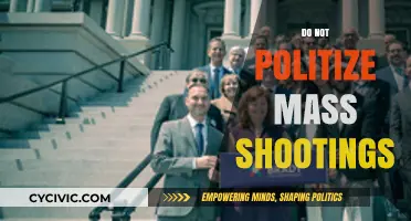 Mass Shootings Demand Unity, Not Political Division: A Call for Action