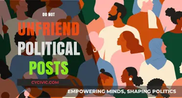 Keep the Feed Diverse: Why Unfriending Political Posts Harms Dialogue