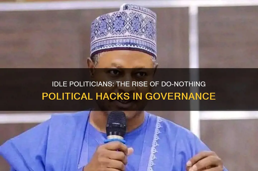 do-nothing political hacks