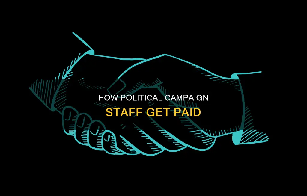 do people get paid for having jobs on political campaigns