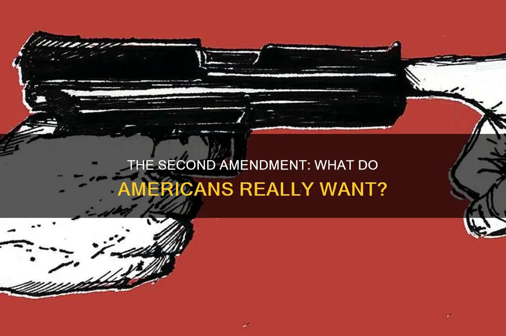 do people want to ratify the constitutions 2nd amendment