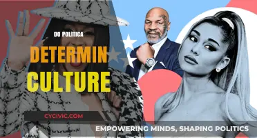 Does Politics Shape Culture? Exploring the Complex Relationship and Impact