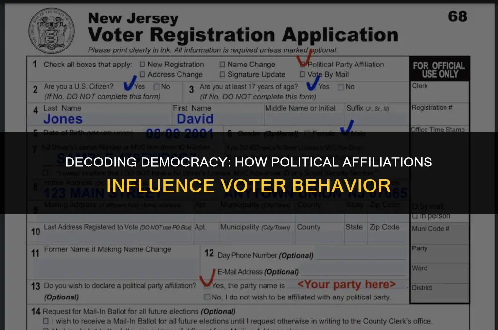 do political affiliations help people vote