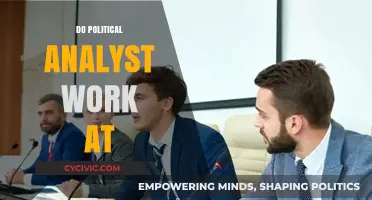 Where Do Political Analysts Work? Exploring Diverse Career Paths