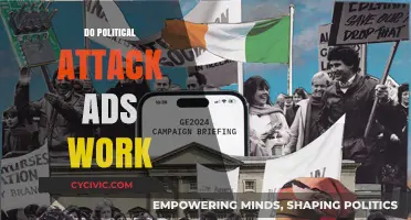 Do Political Attack Ads Influence Voters or Backfire on Campaigns?