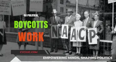 Do Political Boycotts Effectively Drive Change or Symbolize Protest?