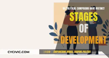 Political Campaigns: Stages of Development Explored