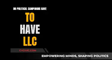 Political Campaigns: LLCs, a Necessary Evil?