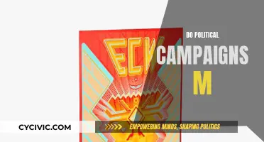 Political Campaigns: Money Talks, Strategies Walk