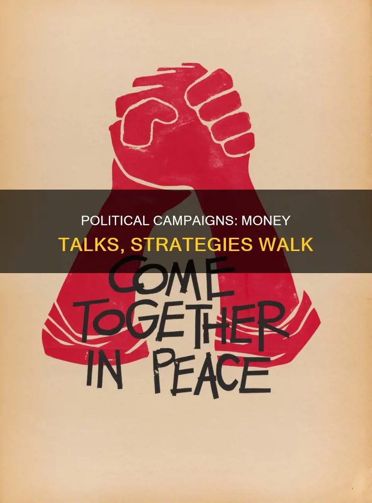 do political campaigns m